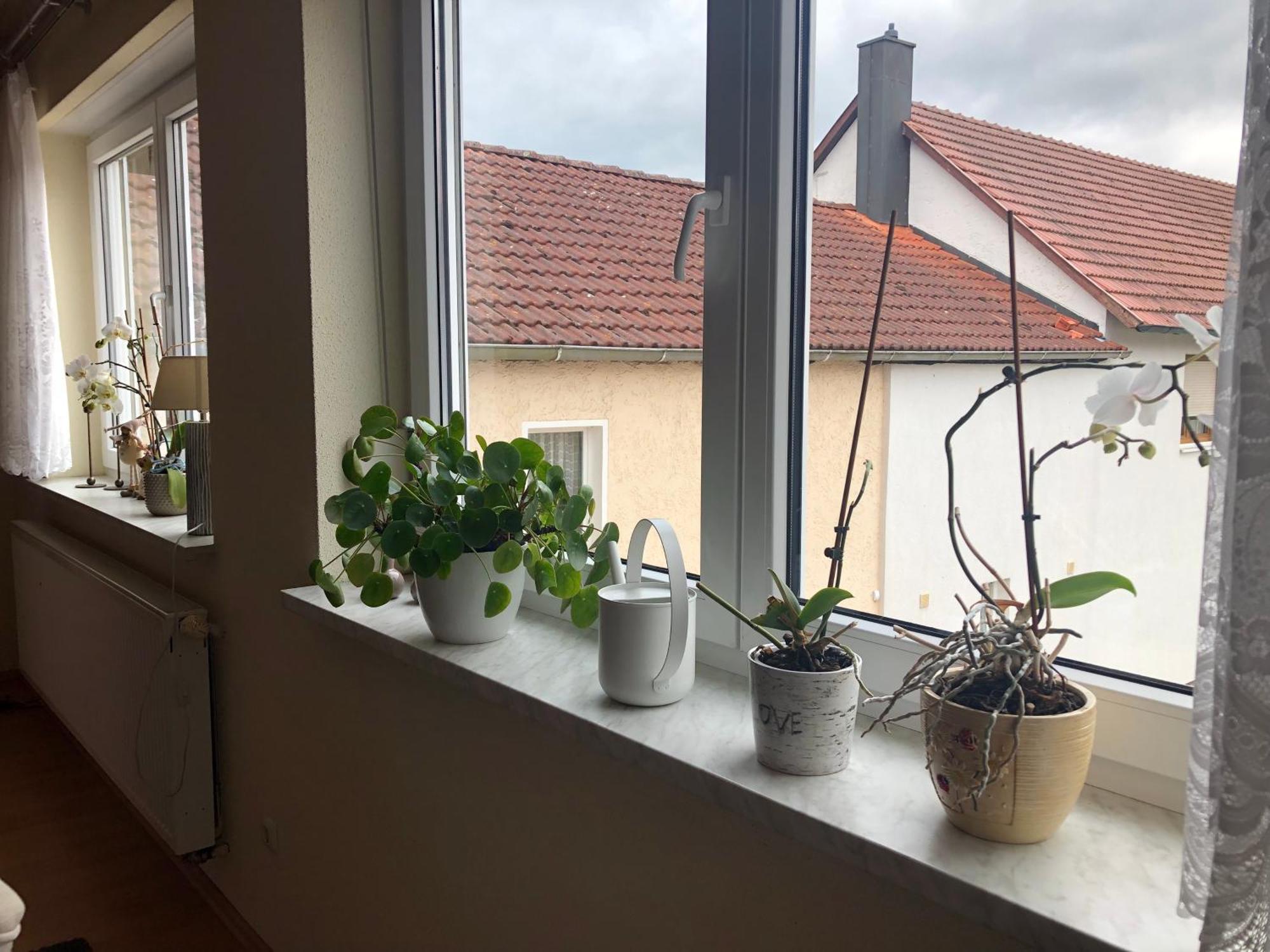 Ferienwohnung Am Gruenen Band Hellingen Ngoại thất bức ảnh